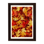 MD Art Collections - Four Seasons Wall Art – Winter, Spring, Summer & Fall | A4/A3 | PVC Black or Mahogany Wood Frame