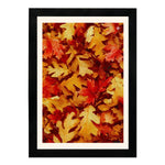 MD Art Collections - Four Seasons Wall Art – Winter, Spring, Summer & Fall | A4/A3 | PVC Black or Mahogany Wood Frame