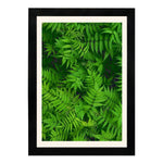 MD Art Collections - Four Seasons Wall Art – Winter, Spring, Summer & Fall | A4/A3 | PVC Black or Mahogany Wood Frame