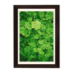 MD Art Collections - Four Seasons Wall Art – Winter, Spring, Summer & Fall | A4/A3 | PVC Black or Mahogany Wood Frame